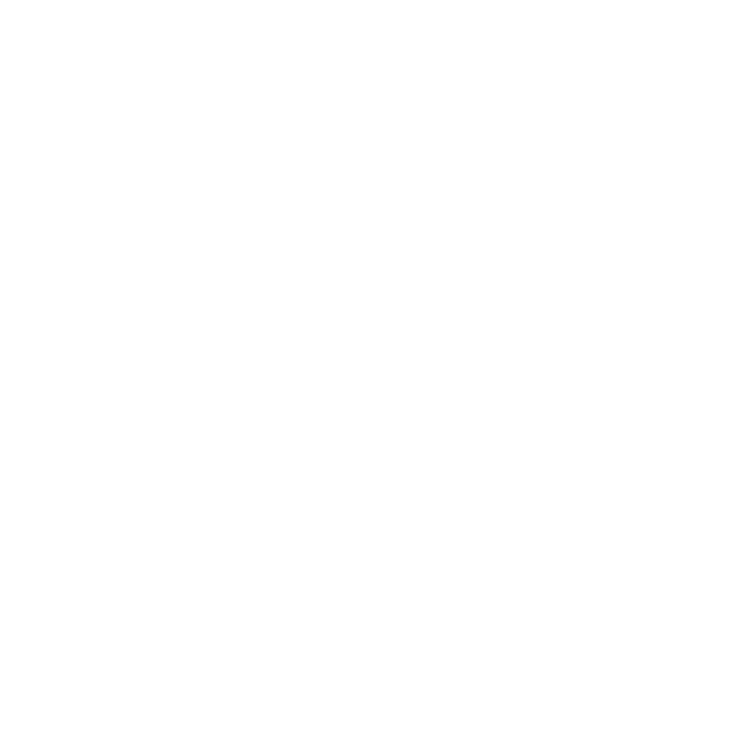 almond shell in white