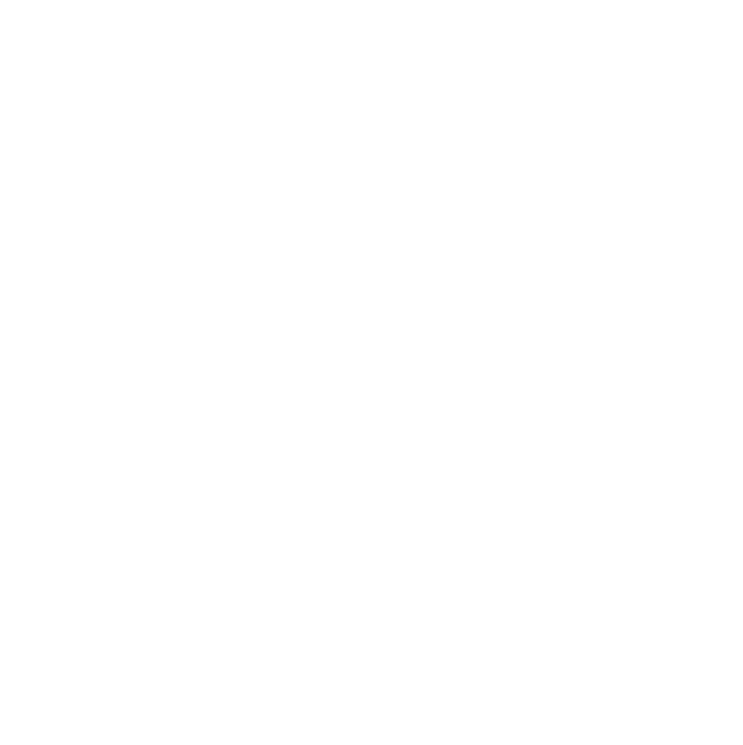 Coconut shell white