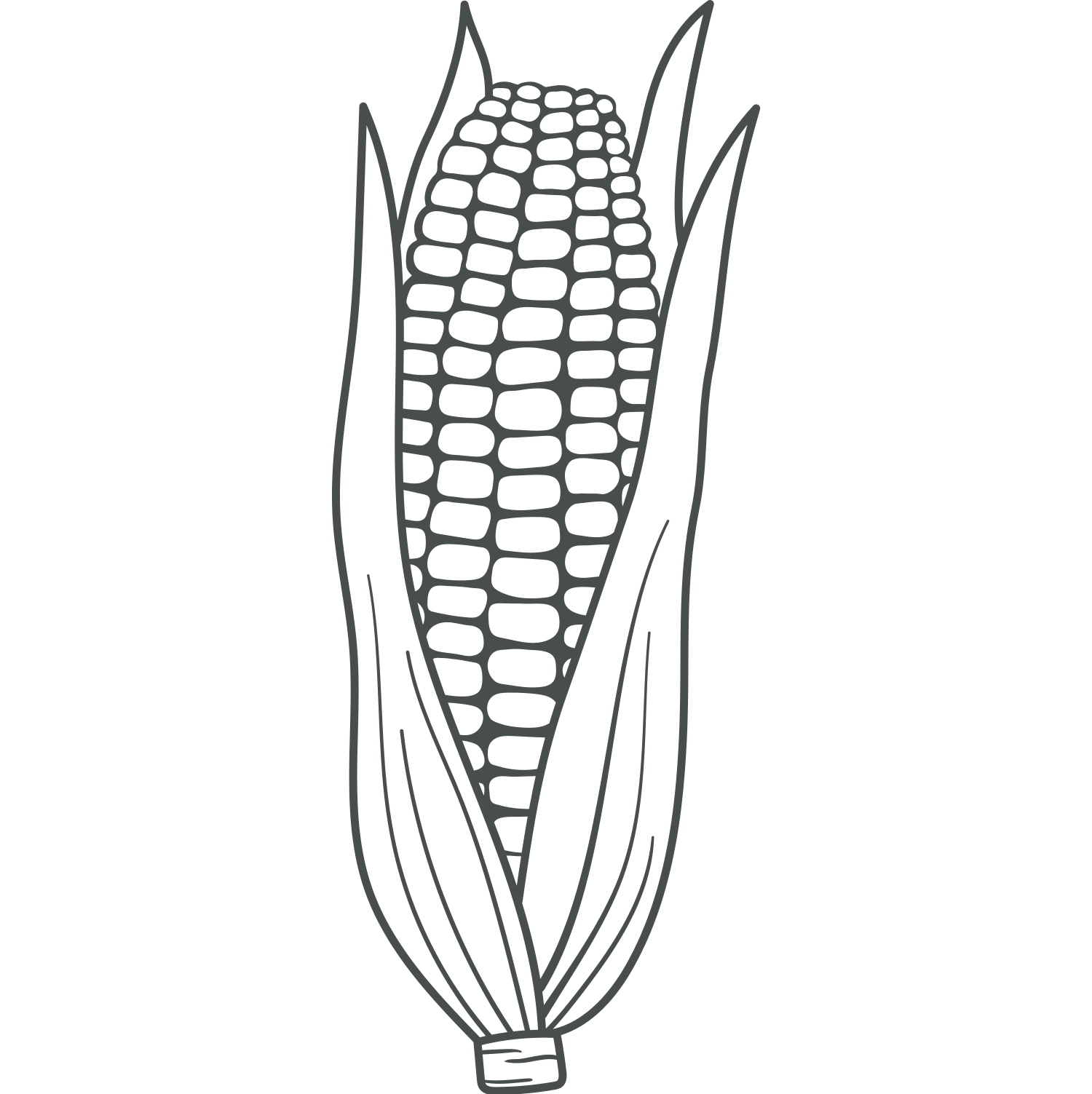 Maize Granules