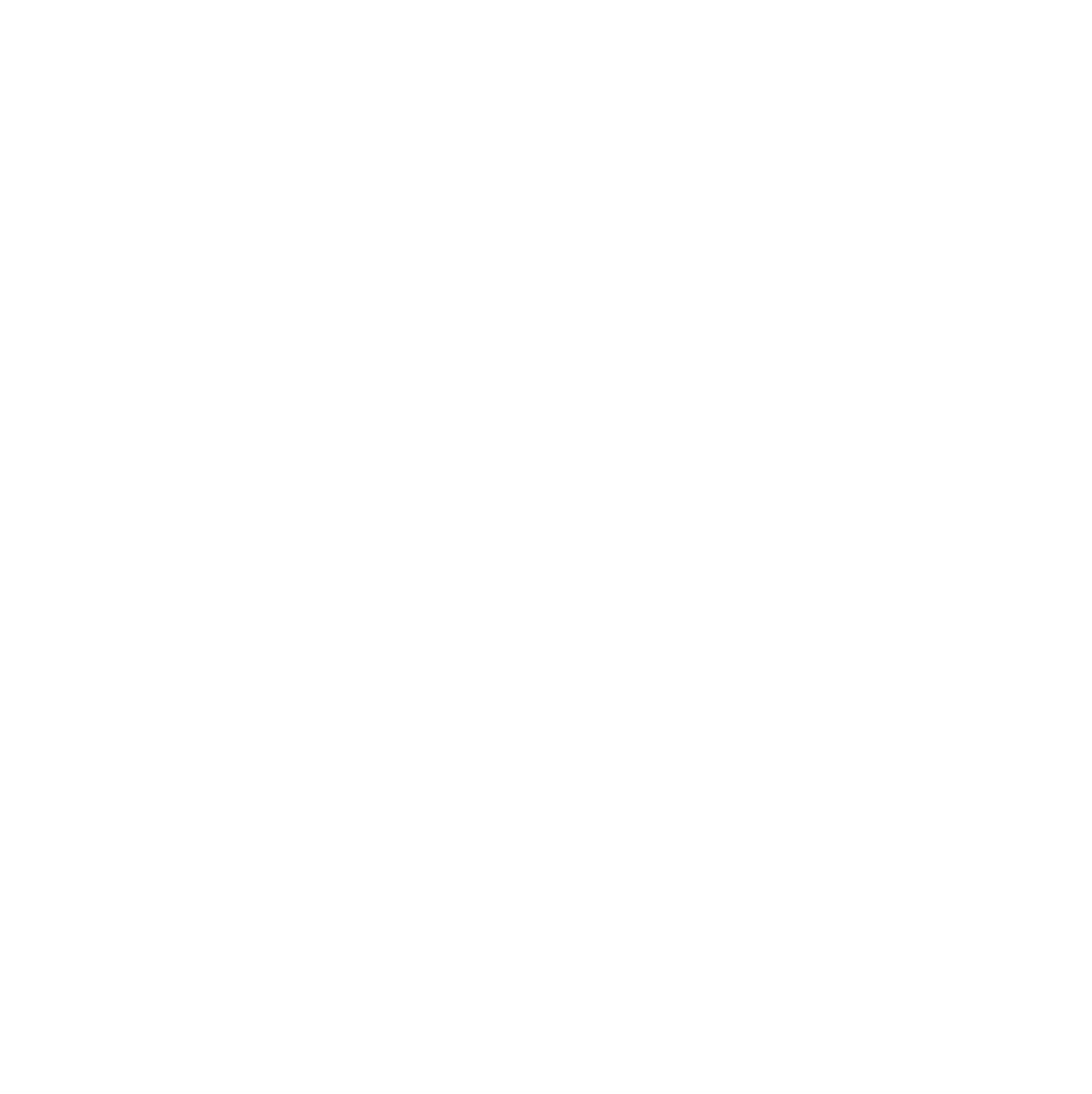 Rice husk