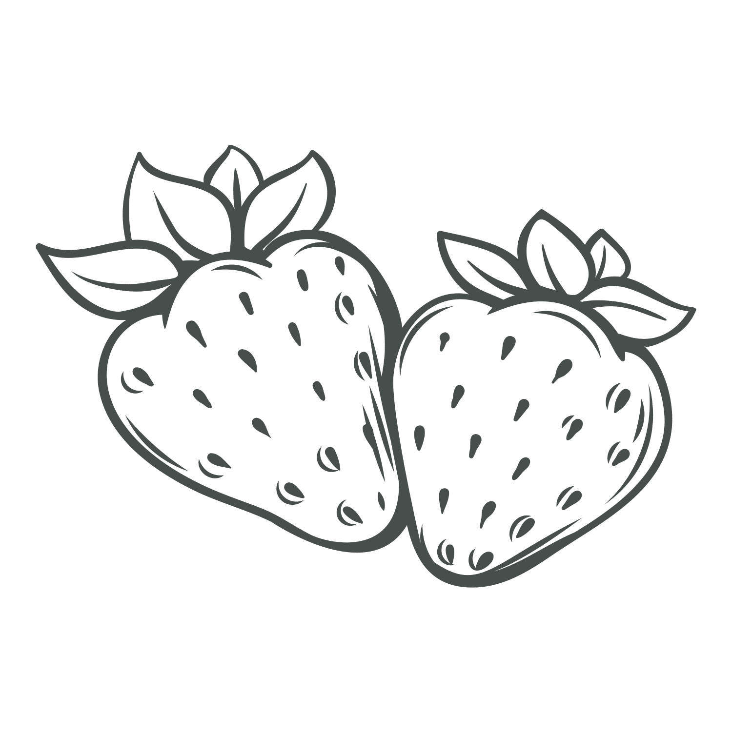 Strawberry Seeds Exfoliant