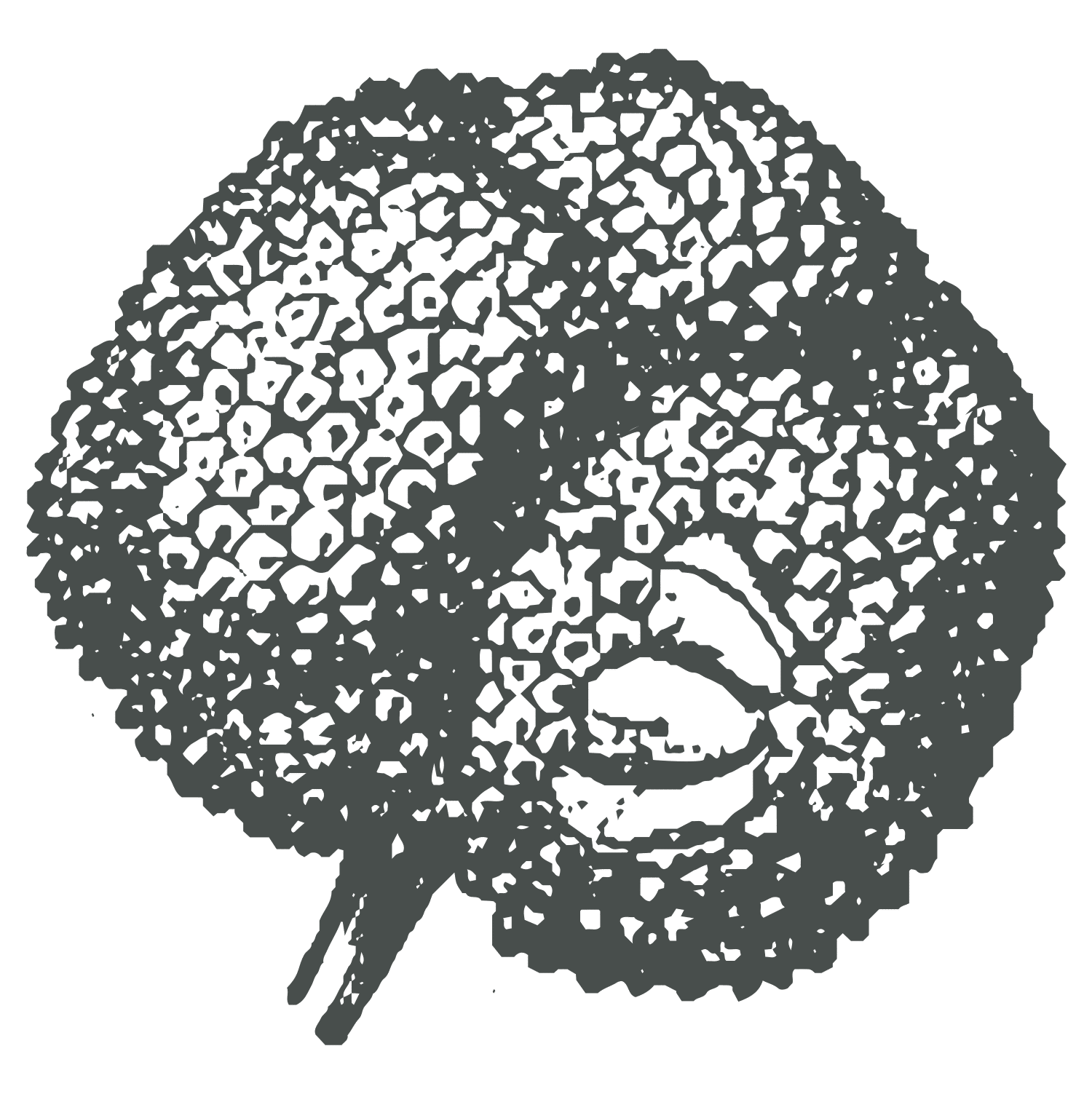 Tagua Seeds Exfoliator