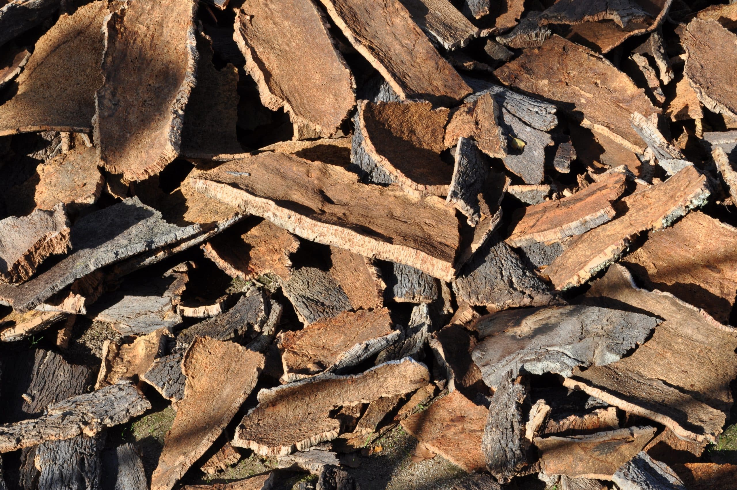 cork bark